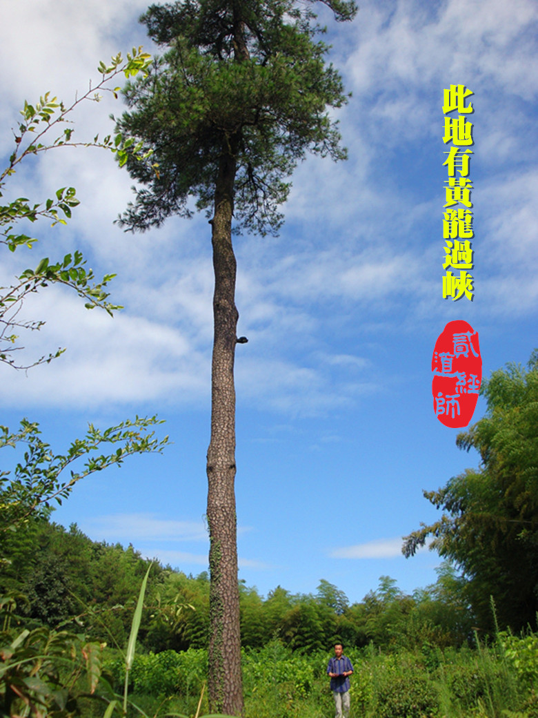 黄龙过峡形