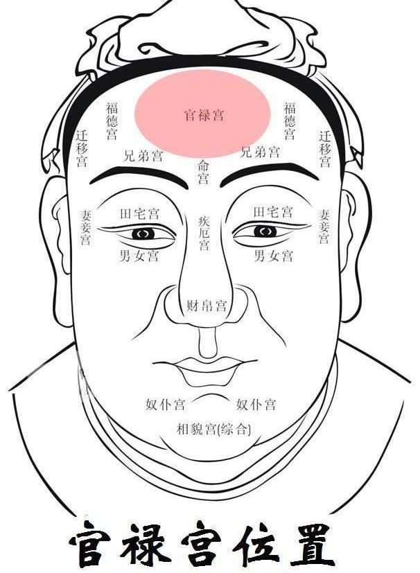 面相看做官   贵相口诀: 看官贵在眼有神,有骨耸秀,皆异常人.