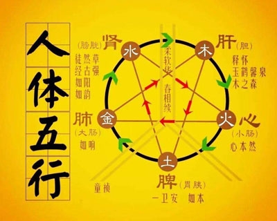 《黄帝内经》五行养生